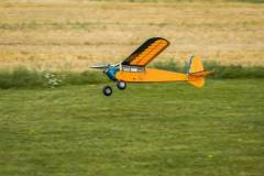 Tarrant-Hinton-Vintage-2023-image002