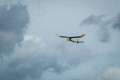 Tarrant-Hinton-Vintage-2023-image017